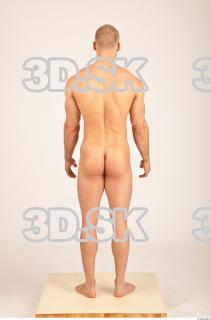 Body texture of Bystrik 0011